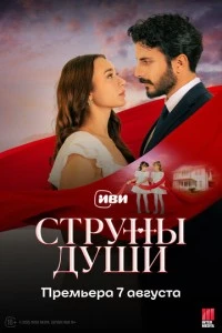 Струны души - постер