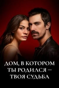 Дом, в котором ты родился – твоя судьба - постер
