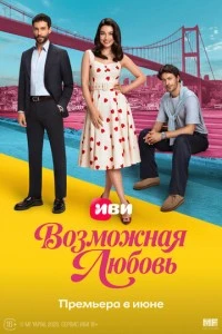 Возможная любовь - постер
